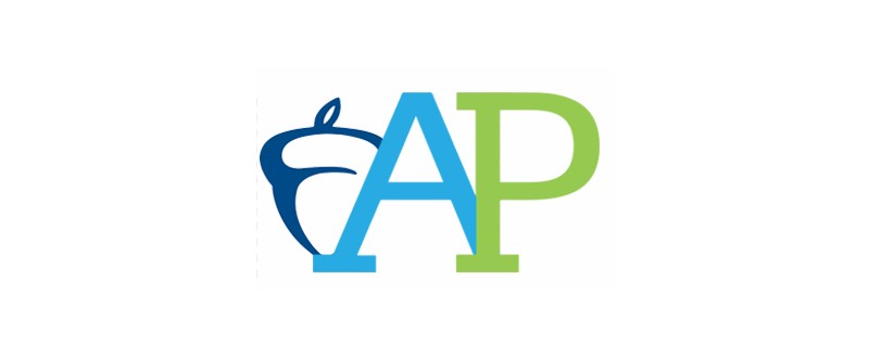 AP Exam Changes Amid COVID-19: Studying and Test-Taking Tips for Success 