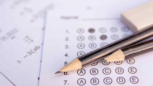 AP Exam Test Prep | AP | Novella Prep