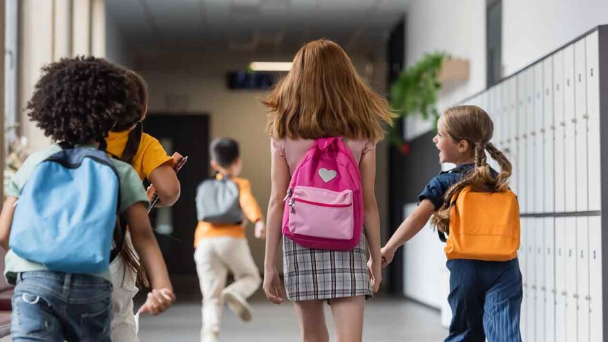 New York K–12 education trends